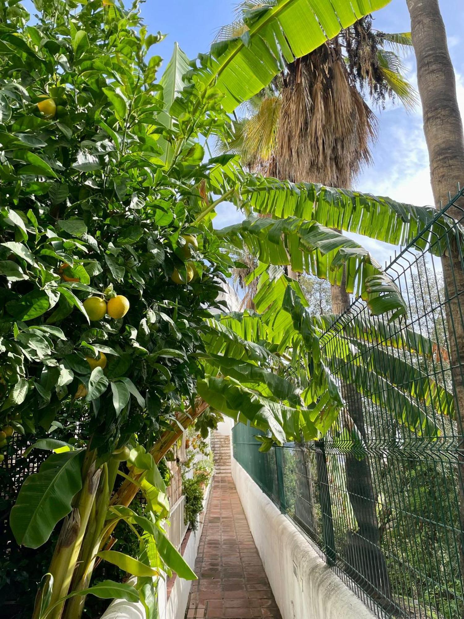 Appartamento Sun Castle Fuengirola Esterno foto